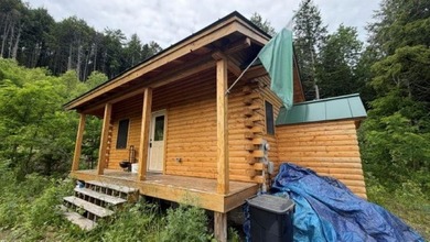 Cozy Log home on 10.4 Beautiful Acres in Randolph VT. Built in - photo 3