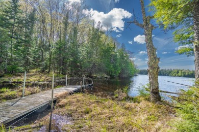 Gaylord Lake Acreage For Sale in Marenisco  Township Michigan