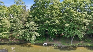 Welcome to Longlake, one of South Forsyth's most sought-after - photo 41