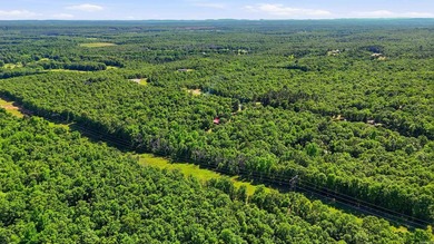 Tucked away on 6 private acres in Jacksonville, this charming 2 - photo 36