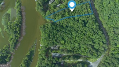 Lake Sinclair Lot For Sale in Eatonton Georgia