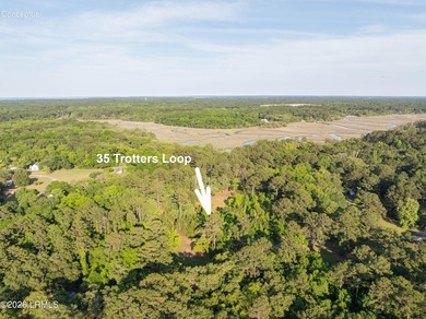 Welcome to 35 Trotters Loop -- a beautiful approximately 4-acre - photo 2