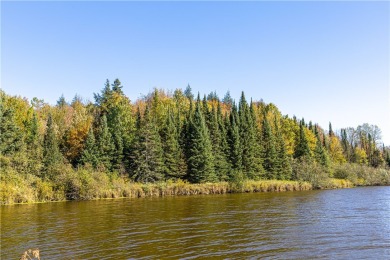 Lake Acreage For Sale in Hawkins, Wisconsin