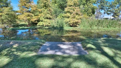 You're going to love this hard-to-find located out of the flood - photo 60