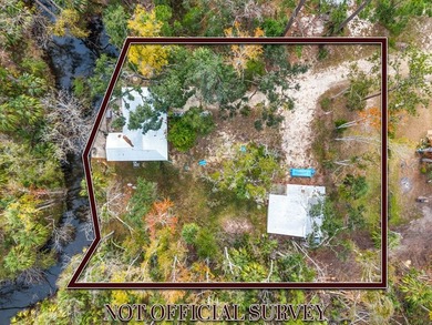 Discover the charm of Steinhatchee living with this unique - photo 2