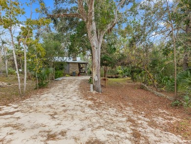 Discover the charm of Steinhatchee living with this unique - photo 4