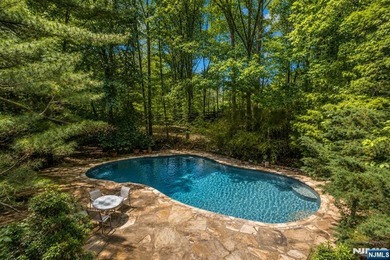 PREMIER LOCATION!! THIS HOME IS LOCATED ON ONE OF ALPINE'S MOST - photo 41