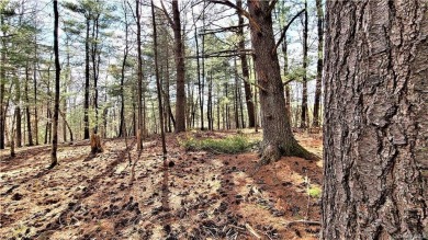Mountain Lake - Sullivan County Lot For Sale in Smallwood New York