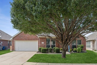 Lake Home For Sale in Little Elm, Texas