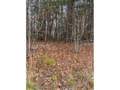 Lake Hartwell Lot For Sale in Westminster South Carolina
