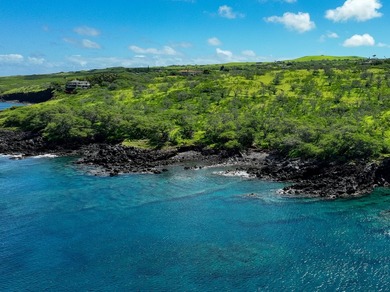 INCOMPARABLE OCEANFRONT ESTATE ALONG THE KOHALA COAST. Nestled - photo 11