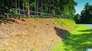 Discover 36.1 acres of wooded land offering privacy, lake views - photo 12