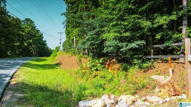 Discover 36.1 acres of wooded land offering privacy, lake views - photo 13