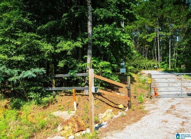 Discover 36.1 acres of wooded land offering privacy, lake views - photo 14