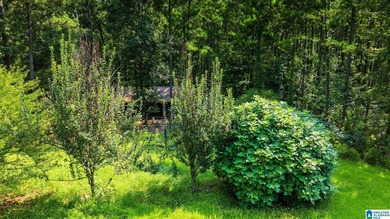 Discover 36.1 acres of wooded land offering privacy, lake views - photo 15