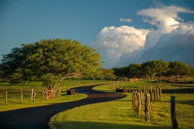 INCOMPARABLE OCEANFRONT ESTATE ALONG THE KOHALA COAST. Nestled - photo 15