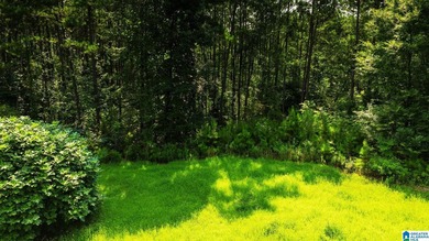 Discover 36.1 acres of wooded land offering privacy, lake views - photo 16