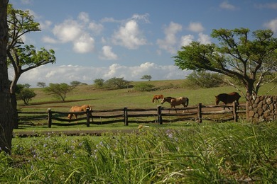 INCOMPARABLE OCEANFRONT ESTATE ALONG THE KOHALA COAST. Nestled - photo 16