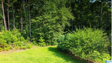 Discover 36.1 acres of wooded land offering privacy, lake views - photo 17