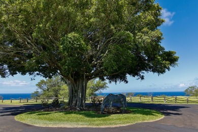 INCOMPARABLE OCEANFRONT ESTATE ALONG THE KOHALA COAST. Nestled - photo 17