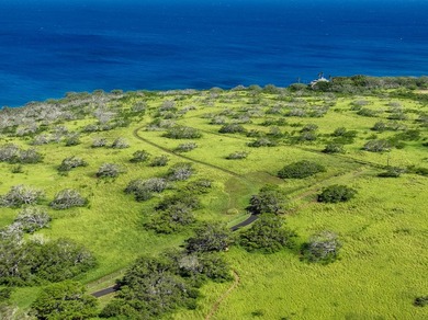 INCOMPARABLE OCEANFRONT ESTATE ALONG THE KOHALA COAST. Nestled - photo 18