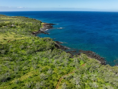 INCOMPARABLE OCEANFRONT ESTATE ALONG THE KOHALA COAST. Nestled - photo 19