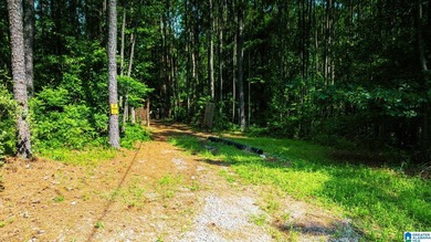Discover 36.1 acres of wooded land offering privacy, lake views - photo 20