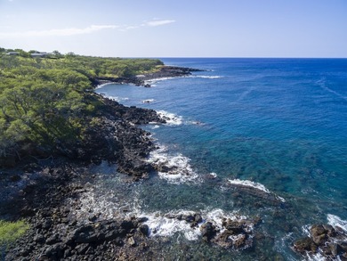 INCOMPARABLE OCEANFRONT ESTATE ALONG THE KOHALA COAST. Nestled - photo 20