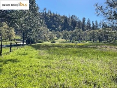 Lake Acreage For Sale in Lewiston, California
