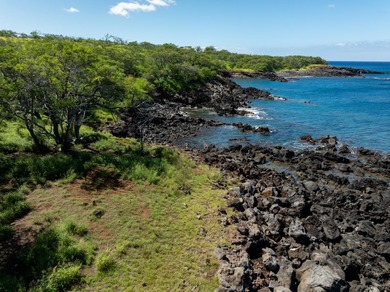 INCOMPARABLE OCEANFRONT ESTATE ALONG THE KOHALA COAST. Nestled - photo 21