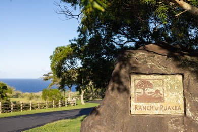 INCOMPARABLE OCEANFRONT ESTATE ALONG THE KOHALA COAST. Nestled - photo 24