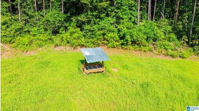 Discover 36.1 acres of wooded land offering privacy, lake views - photo 25