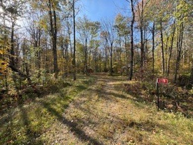 Lake Lot For Sale in Birchwood, Wisconsin