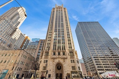 Tribune Tower Residence offers an amazing opportunity to own a - photo 1