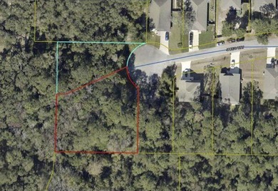 Now is your chance to build your dream home in Freeport, Florida - photo 3