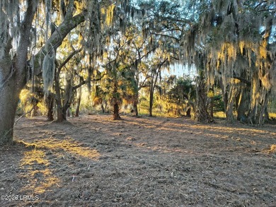 Beautiful marshfront homesite offering over an acre with survey - photo 1