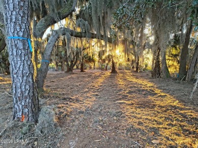 Beautiful marshfront homesite offering over an acre with survey - photo 2