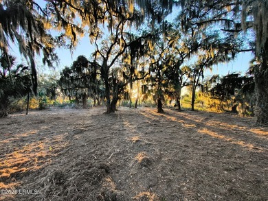 Beautiful marshfront homesite offering over an acre with survey - photo 3