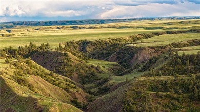 The Judith River Confluence Ranch spans 2,263+/- acres in the - photo 12