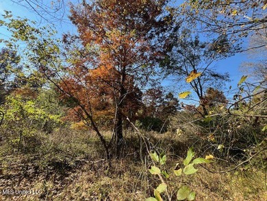 100 Acres of Hardwood & Pine Timber - Recreational Tract Near - photo 14