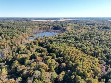 100 Acres of Hardwood & Pine Timber - Recreational Tract Near - photo 15
