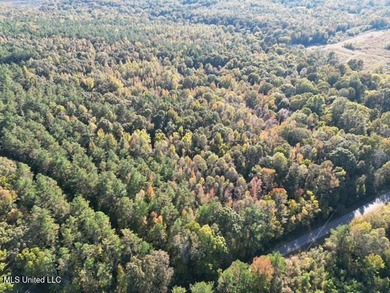 100 Acres of Hardwood & Pine Timber - Recreational Tract Near - photo 16