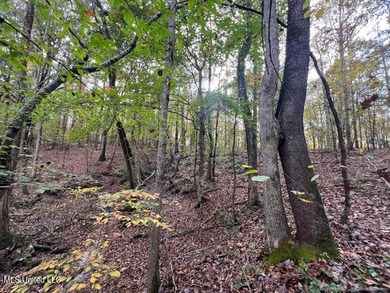 100 Acres of Hardwood & Pine Timber - Recreational Tract Near - photo 18