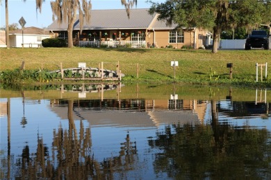 Lake Panasoffkee Home Sale Pending in Lake Panasoffkee Florida