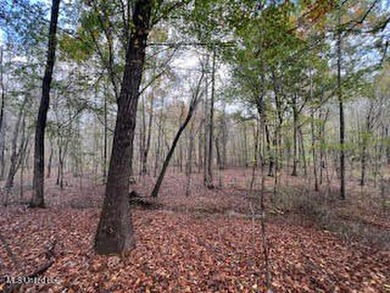 100 Acres of Hardwood & Pine Timber - Recreational Tract Near - photo 22