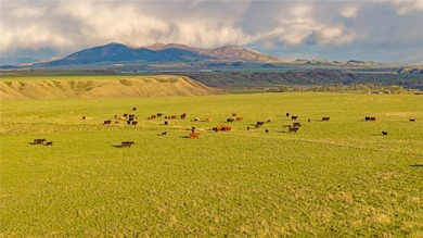 The Judith River Confluence Ranch spans 2,263+/- acres in the - photo 24