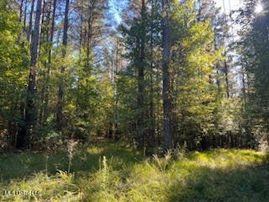 100 Acres of Hardwood & Pine Timber - Recreational Tract Near - photo 26