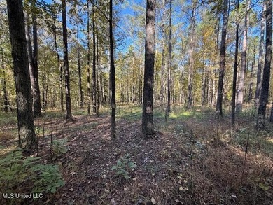 100 Acres of Hardwood & Pine Timber - Recreational Tract Near - photo 28