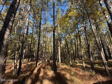 100 Acres of Hardwood & Pine Timber - Recreational Tract Near - photo 29