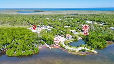 Huge Direct Oceanfront Compound -- One-of-a-Kind with 276-Foot - photo 45